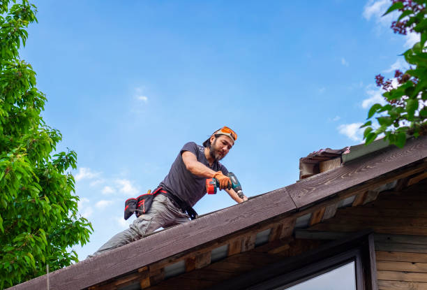 Best Hot Roofs  in Sterling Heights, MI