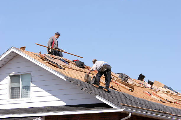 Best Roof Insulation Installation  in Sterling Heights, MI
